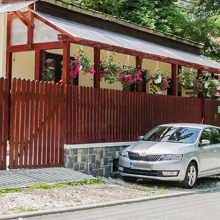 Casa De Vacanta Razvan Si Andrei Sinaia Extérieur photo