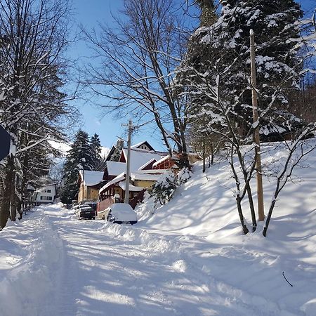 Casa De Vacanta Razvan Si Andrei Sinaia Extérieur photo