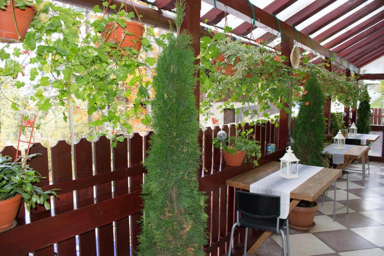 Casa De Vacanta Razvan Si Andrei Sinaia Extérieur photo