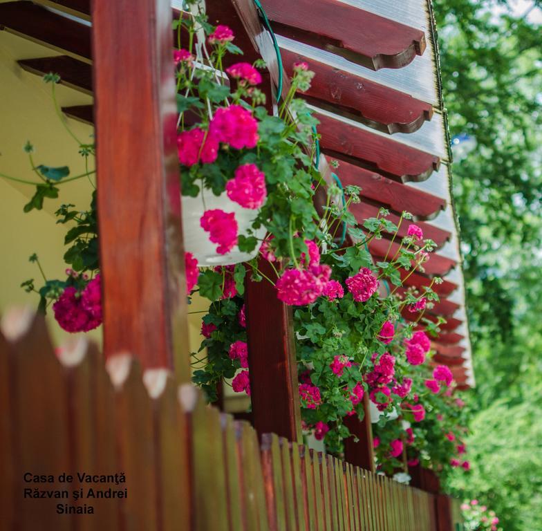 Casa De Vacanta Razvan Si Andrei Sinaia Extérieur photo