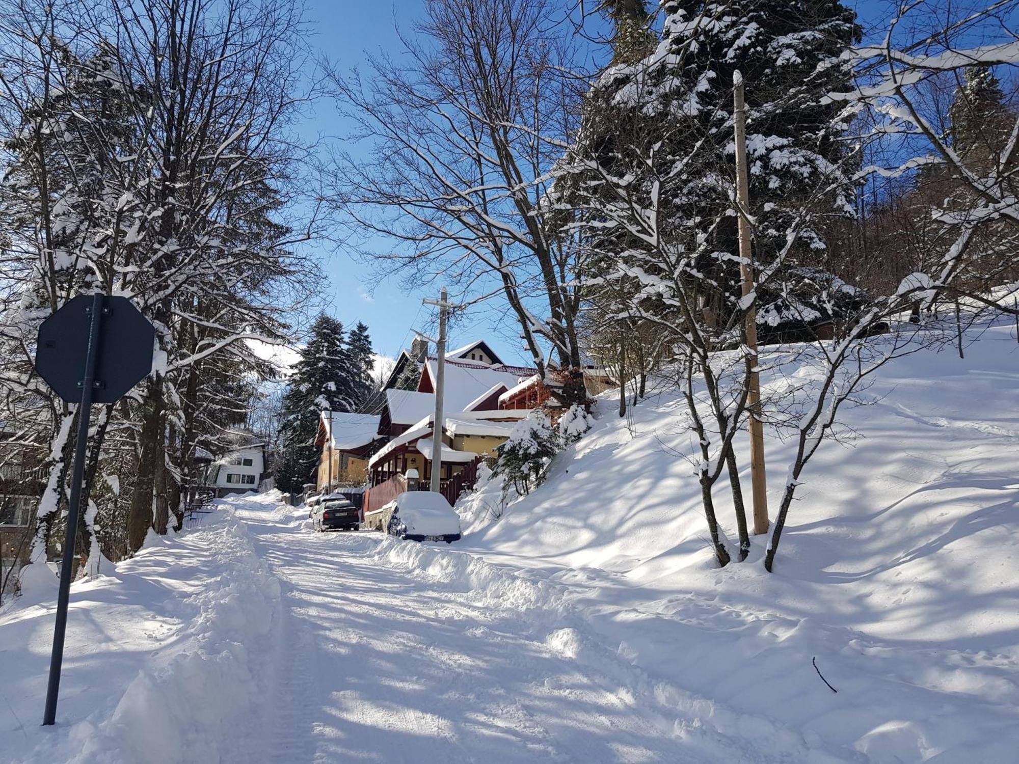 Casa De Vacanta Razvan Si Andrei Sinaia Extérieur photo
