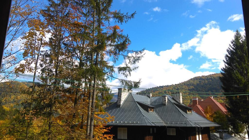 Casa De Vacanta Razvan Si Andrei Sinaia Extérieur photo