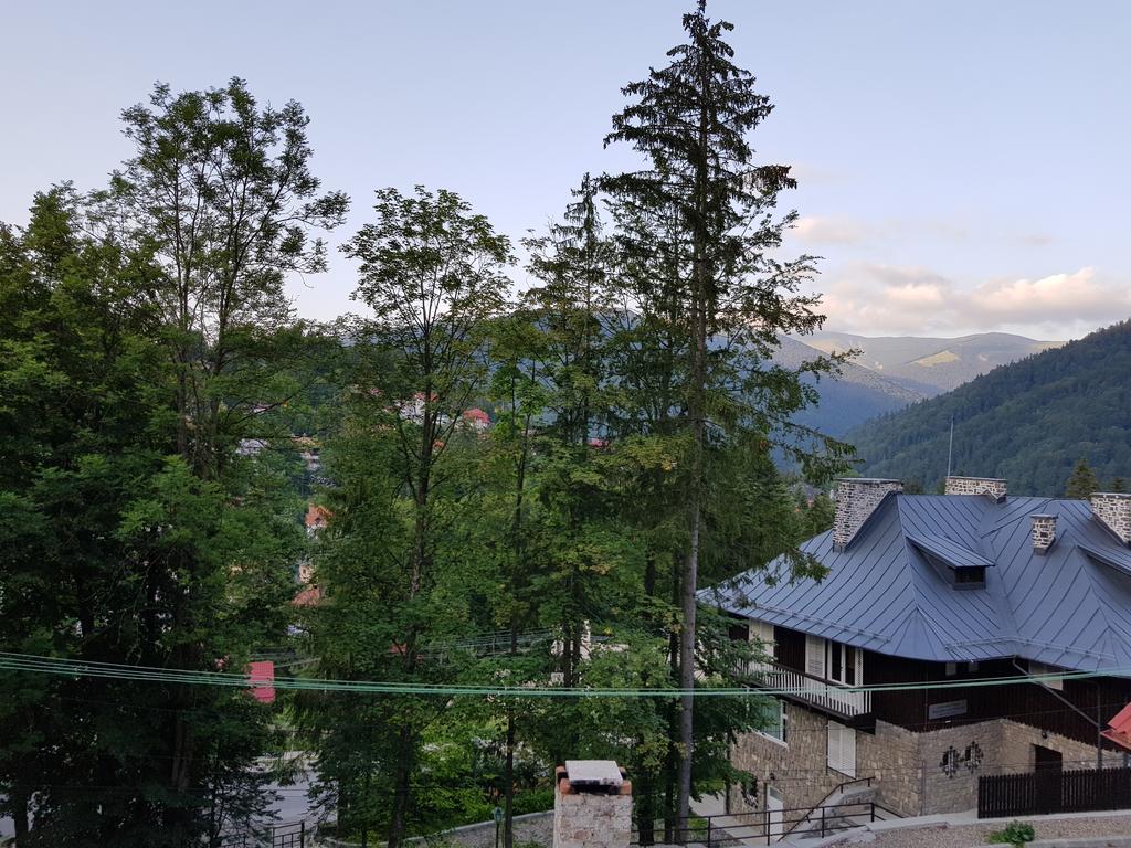 Casa De Vacanta Razvan Si Andrei Sinaia Extérieur photo