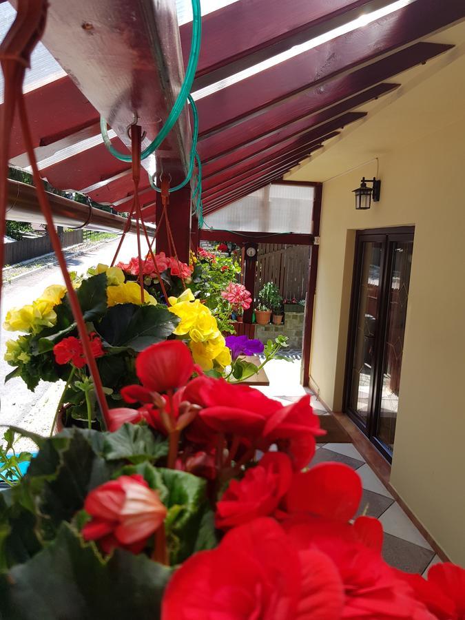 Casa De Vacanta Razvan Si Andrei Sinaia Extérieur photo