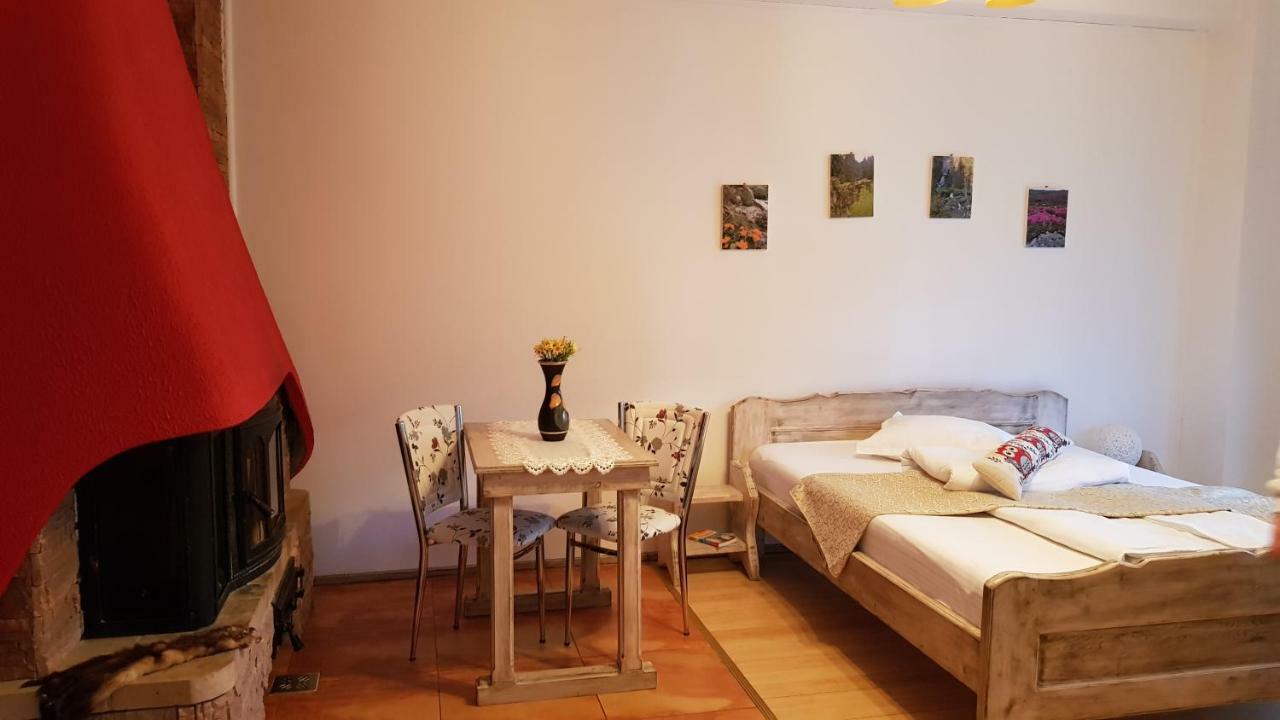 Casa De Vacanta Razvan Si Andrei Sinaia Extérieur photo