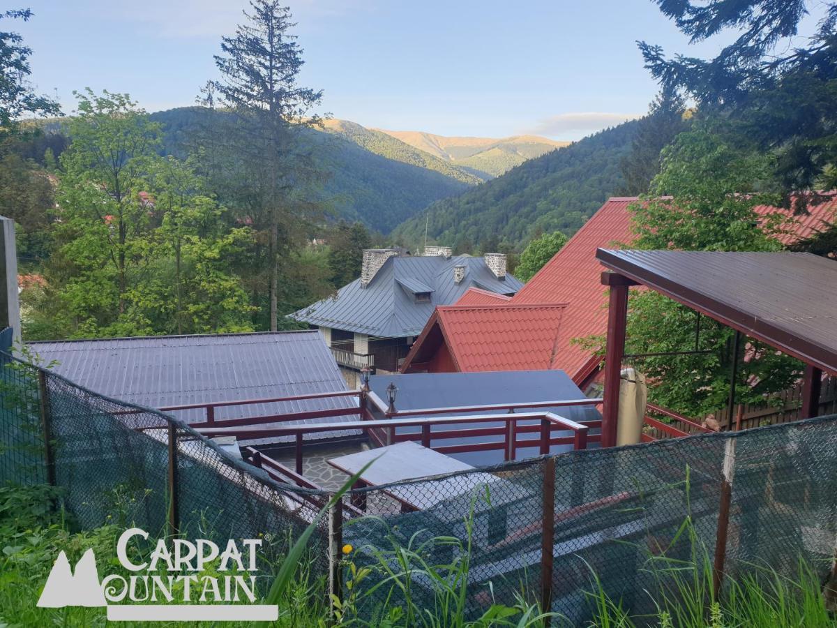 Casa De Vacanta Razvan Si Andrei Sinaia Extérieur photo