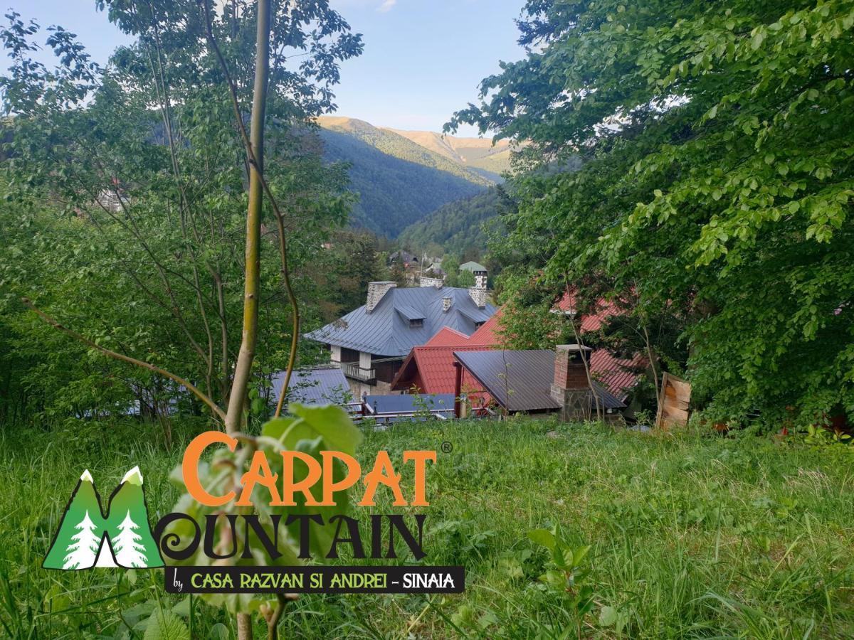 Casa De Vacanta Razvan Si Andrei Sinaia Extérieur photo