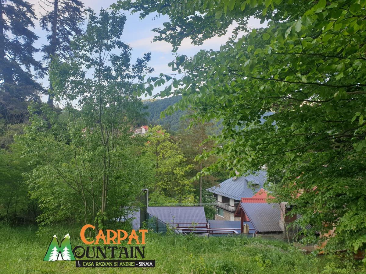 Casa De Vacanta Razvan Si Andrei Sinaia Extérieur photo